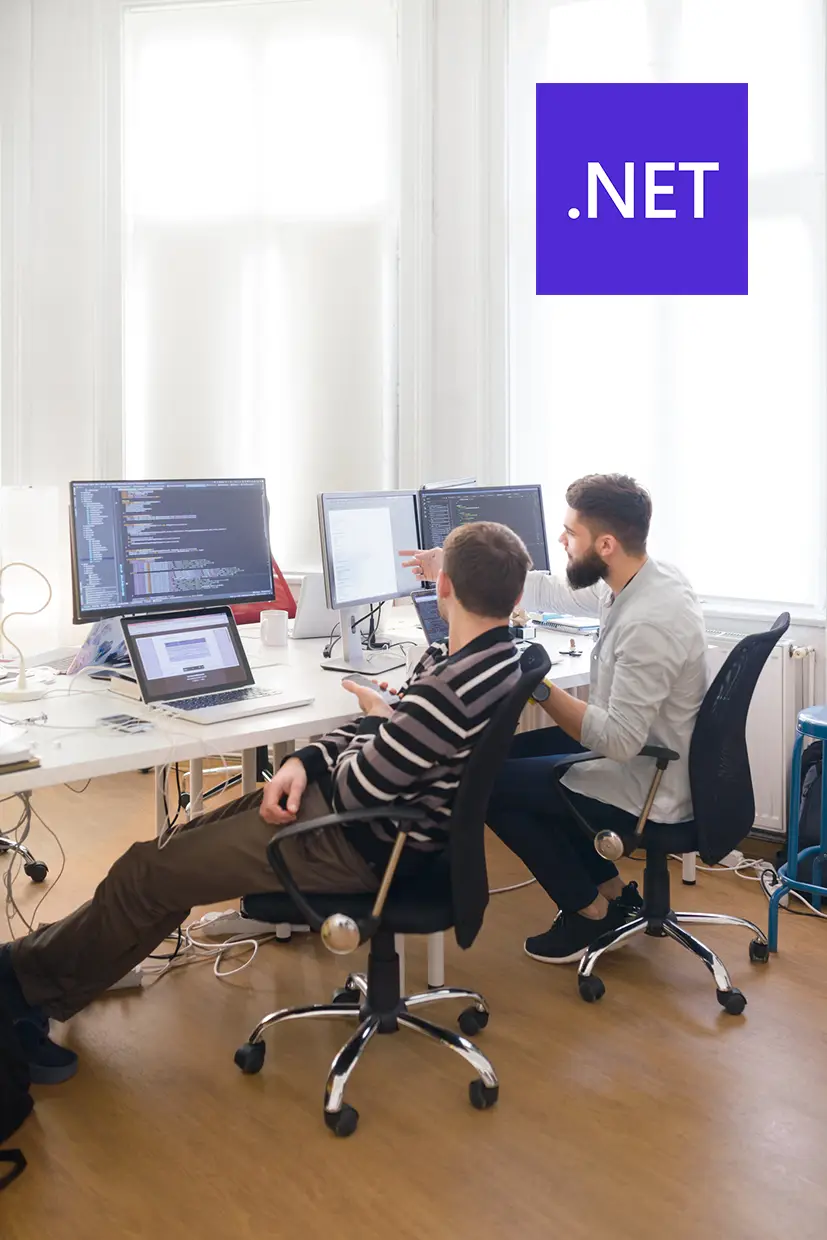 Software house Sviluppo .net