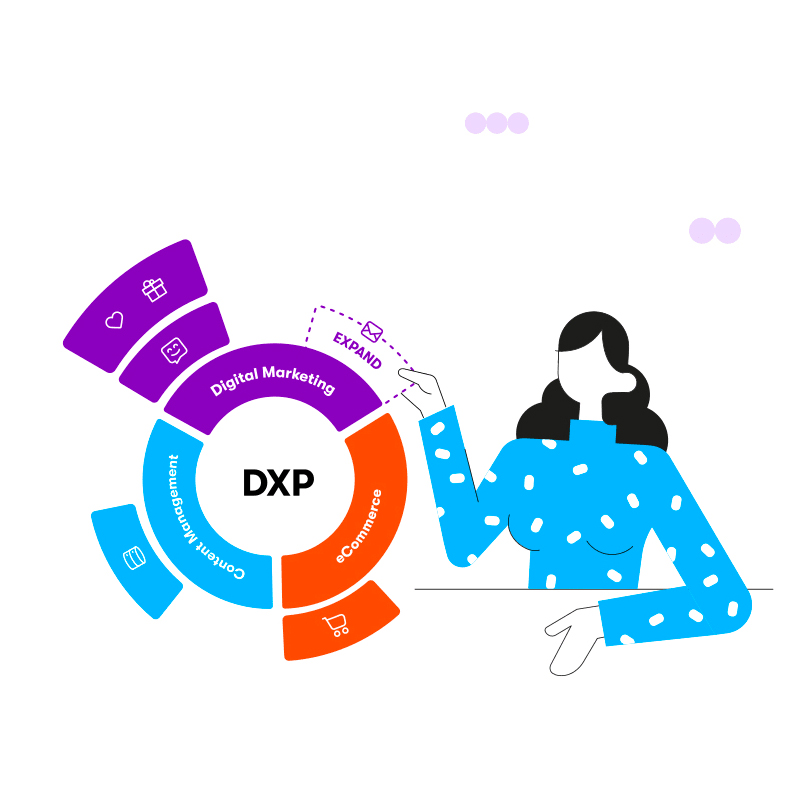 Exetera DXP e CMS 02 (Image)