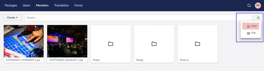 Search-for-the-items-in-the-Media-section.webp Umbraco Organizzare e modificare gli elementi multimediali Tipo di vista