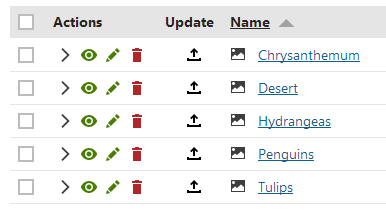 uploaded_files.png XTR K13 Inserimento di un file Formati supportati