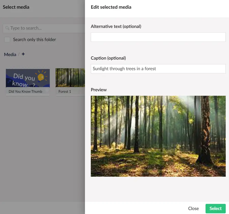 Umbraco Inserting an Image from the Media Library